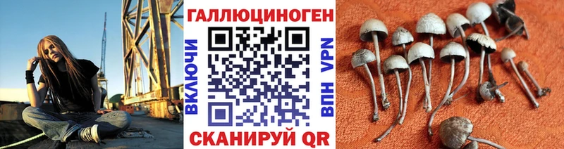 Галлюциногенные грибы Psilocybine cubensis  хочу наркоту  Клинцы 